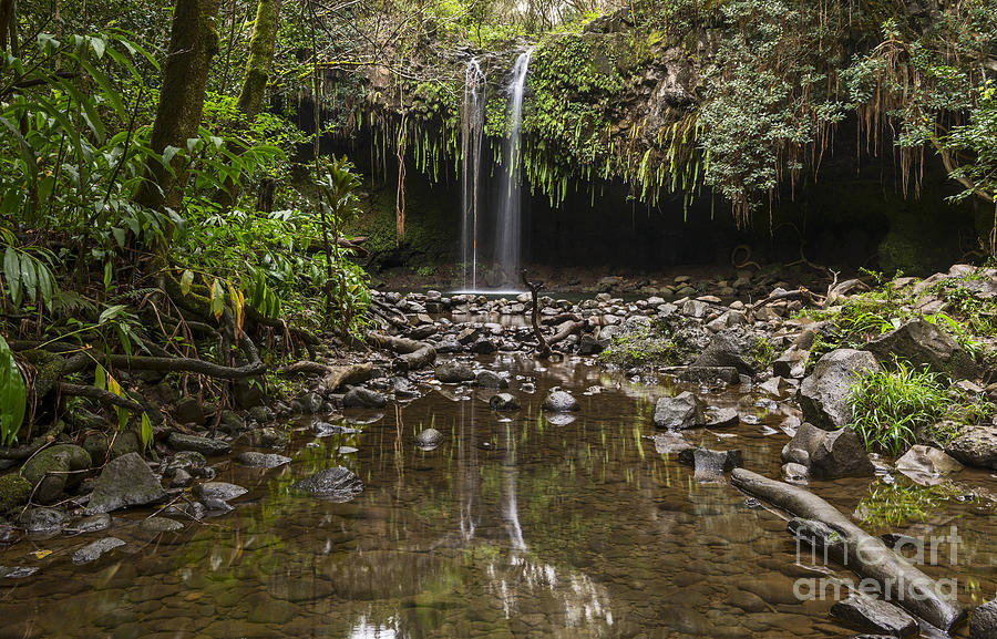 Jungle Photograph - Twin Falls Reflection - the beautiful falls along the Road to Hana in Maui by Jamie Pham