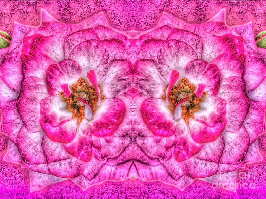 Twin Flowers Digital Art by Gayle Price Thomas