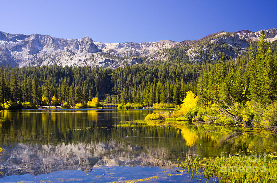 Twin Lakes Reflection Photograph by Fred Ziegler - Fine Art America