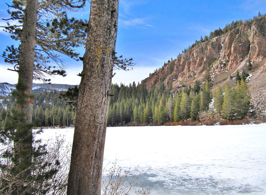 Twin Lakes Winter Photograph by Marilyn Diaz - Fine Art America