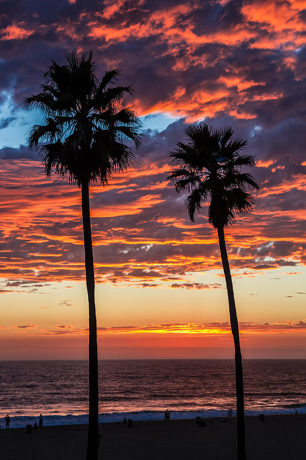 Sunset Photograph - Twin Palms by April Reppucci