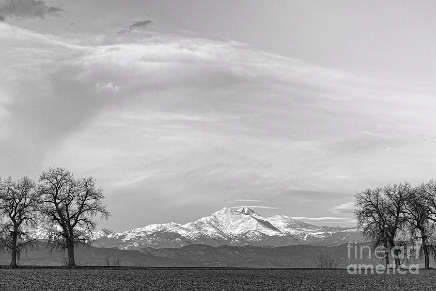Tree Photograph - Twin Peaks Between The Trees Black and White  by James BO Insogna