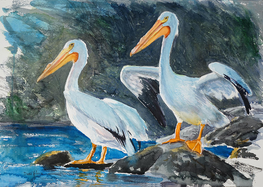 Twin Pelicans by Daniel Adams Painting by Daniel Adams Twin Pelicans by Daniel Adams Painting by Daniel Adams
