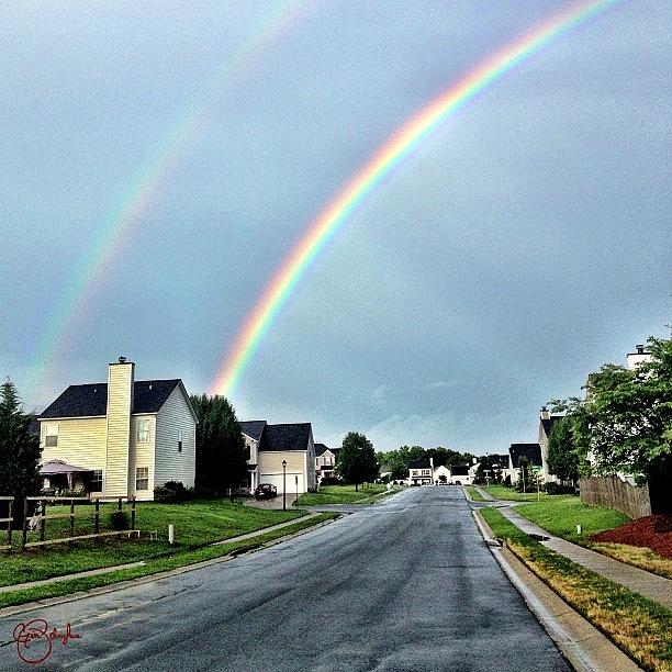 Charlotte Photograph - Twin Pots of Gold in Suburbia by Gina ODonoghue