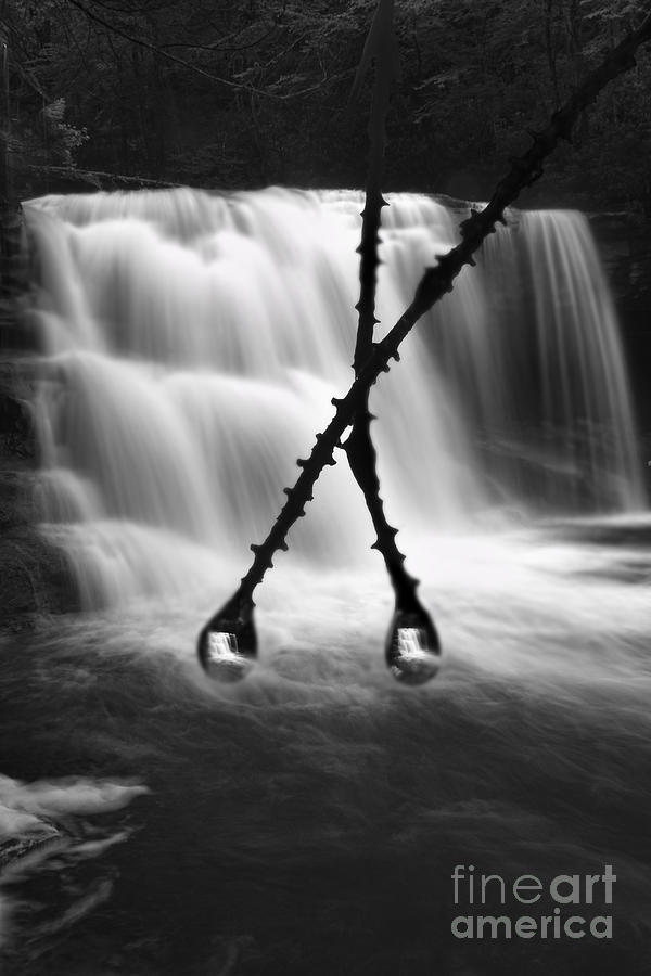 Waterfall Photograph - Twin reflections by Dan Friend