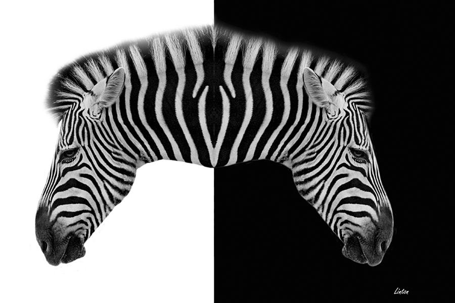 Twin Stripes Digital Art by Larry Linton
