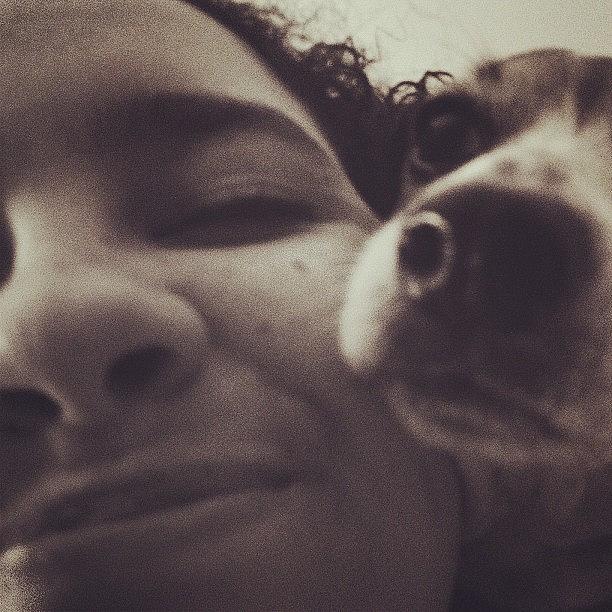 Dachshund Photograph - Twinkie Noses  @whenpigsflyy_ And by Bridget Reyes