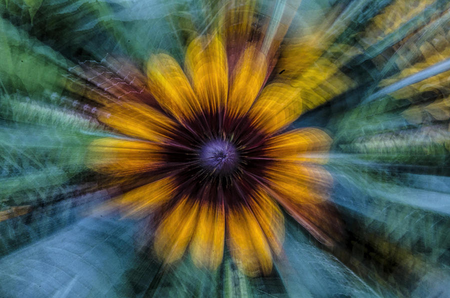 Flower Photograph - Twirling Flower by Irene Theriau Flower Photograph - Twirling Flower by Irene Theriau