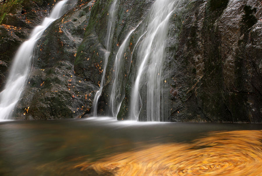 Twirling Leaves at Moss Glen Waterfall Photograph by Juergen Roth