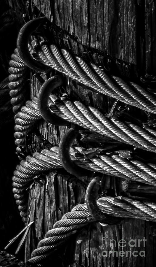 Twisted Cables Photograph by James Aiken