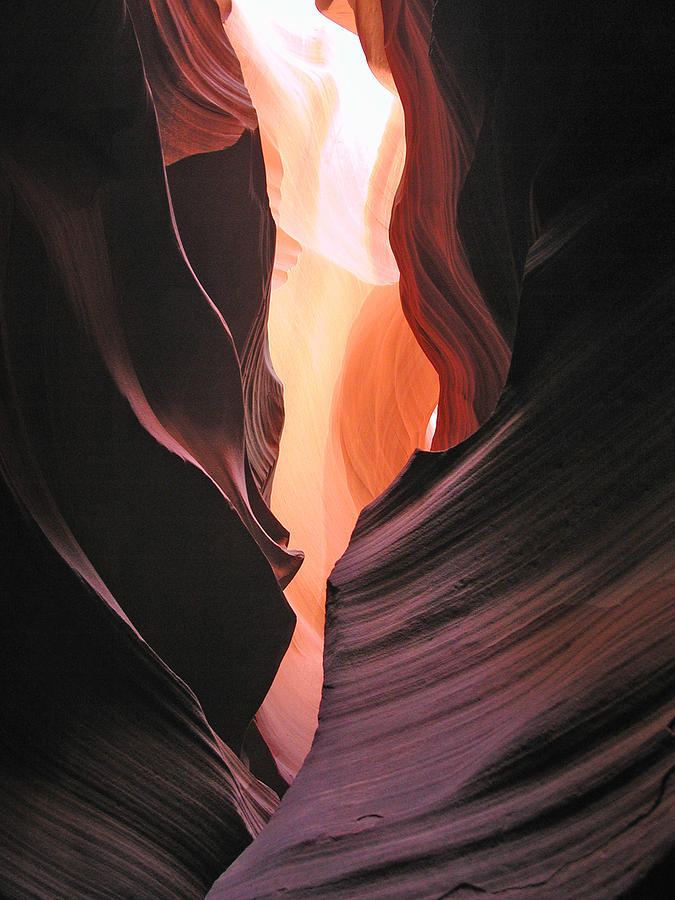 Twisted Canyon Photograph by Marcia Socolik