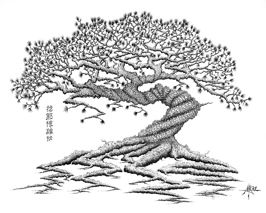 Tree Drawing - Twisted Gnarled Black Pine by Robert Fenwick May Jr
