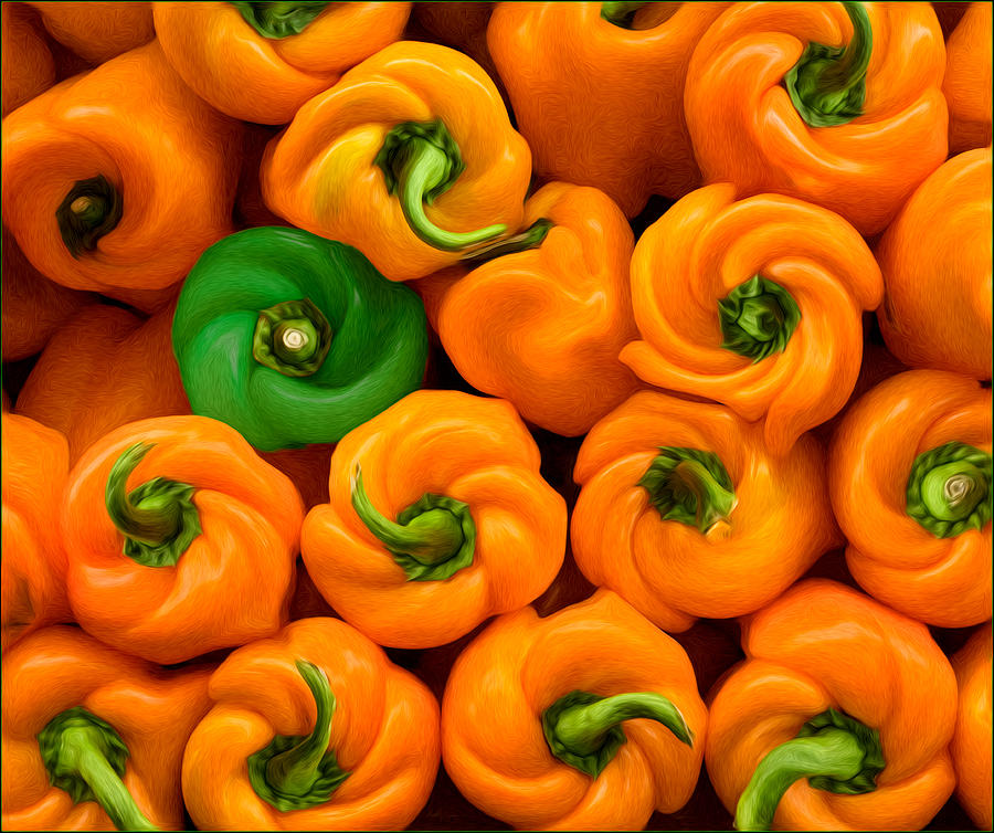 Twisted Peppers Photograph by Steve Zimic