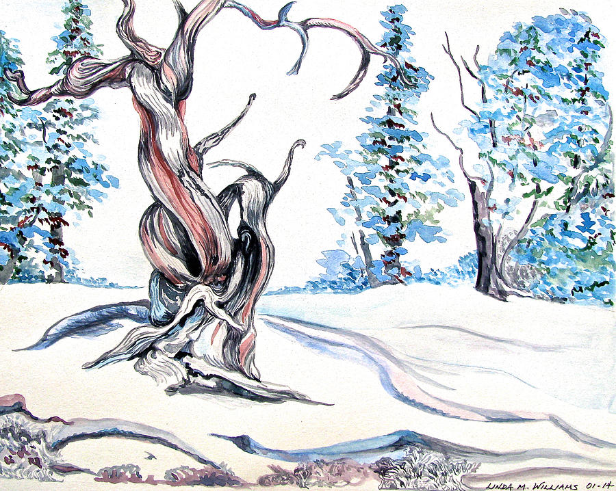 Twisted Tree in Snow Painting by Linda Williams