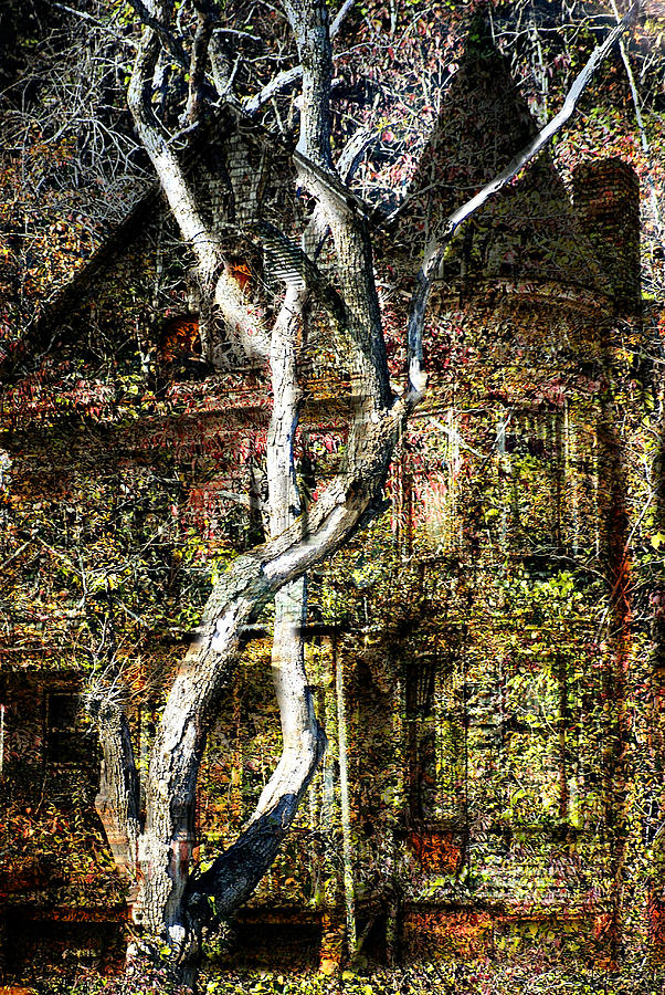 Abstract Photograph - Twisted Tree Overlay by Marty Koch