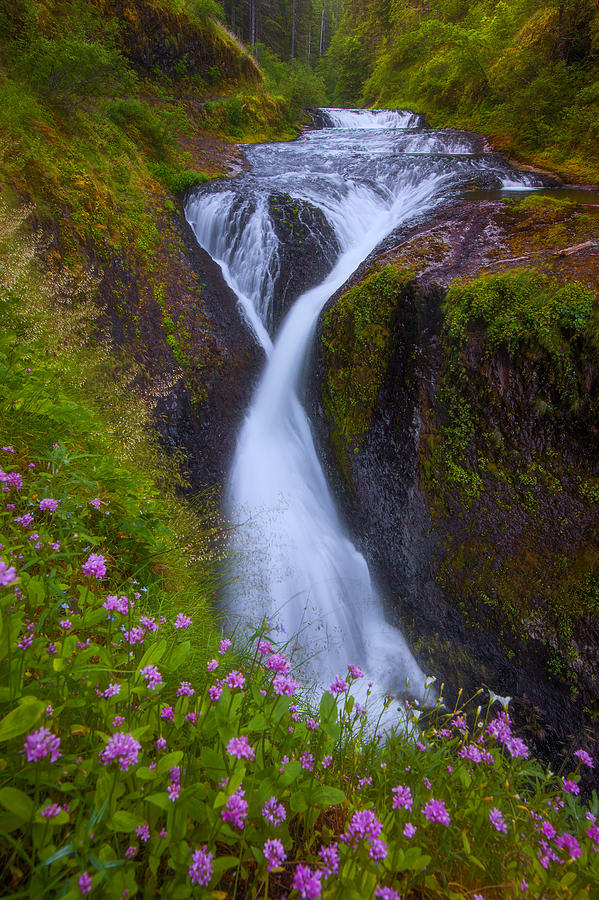 Waterfall Photograph - Twister Falls by Darren White
