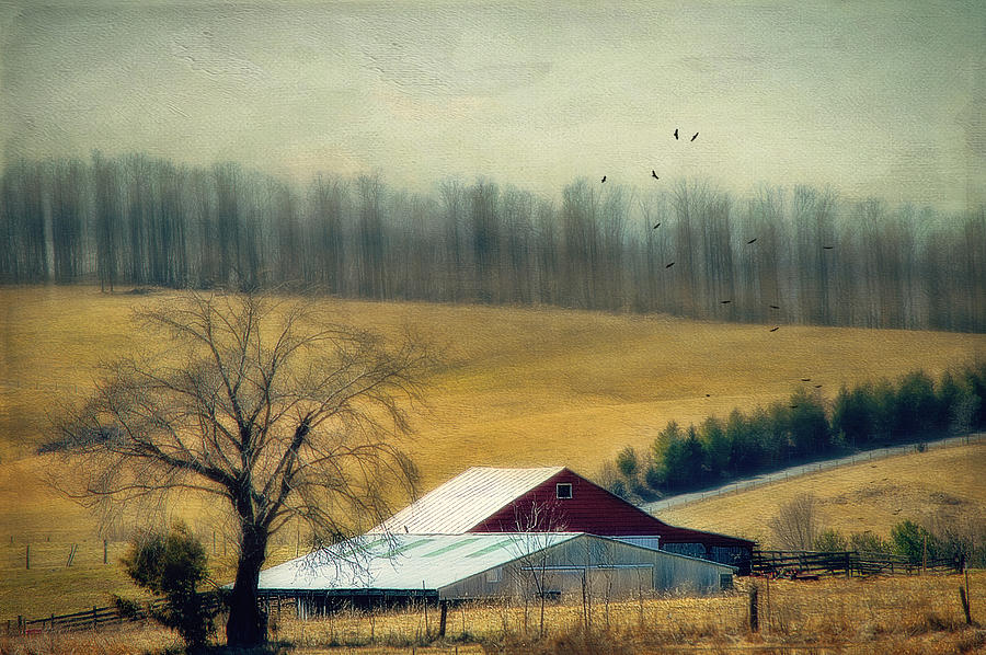 Two Barns Photograph by Kathy Jennings