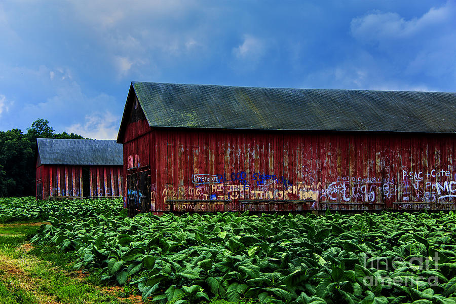 Two Barns Ready Photograph by Rick Bragan