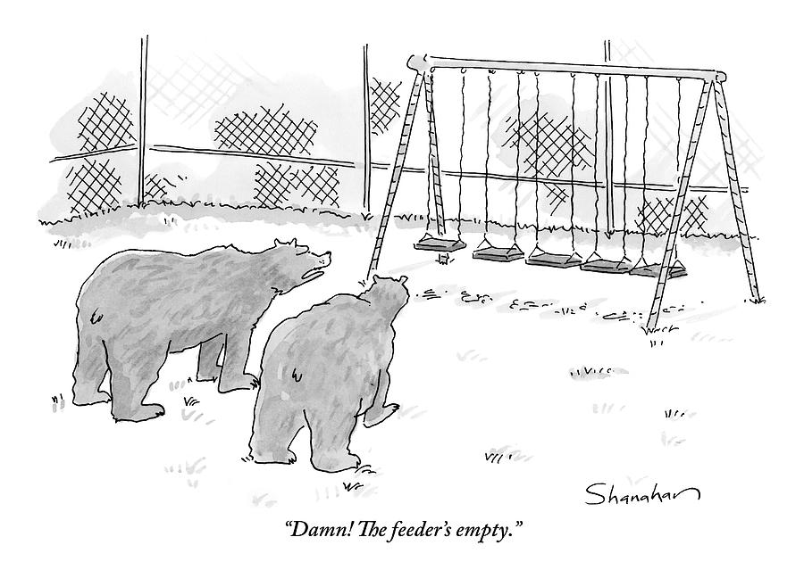 Two Bears Walk Up To An Empty Swing Set