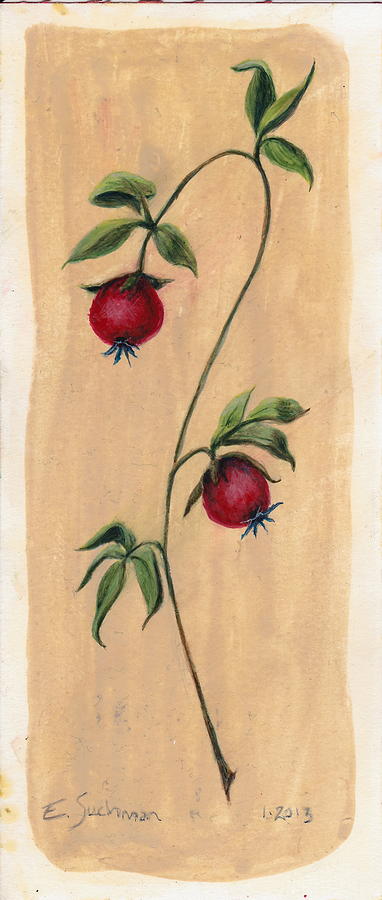 Two Berries Painting by Eric Suchman