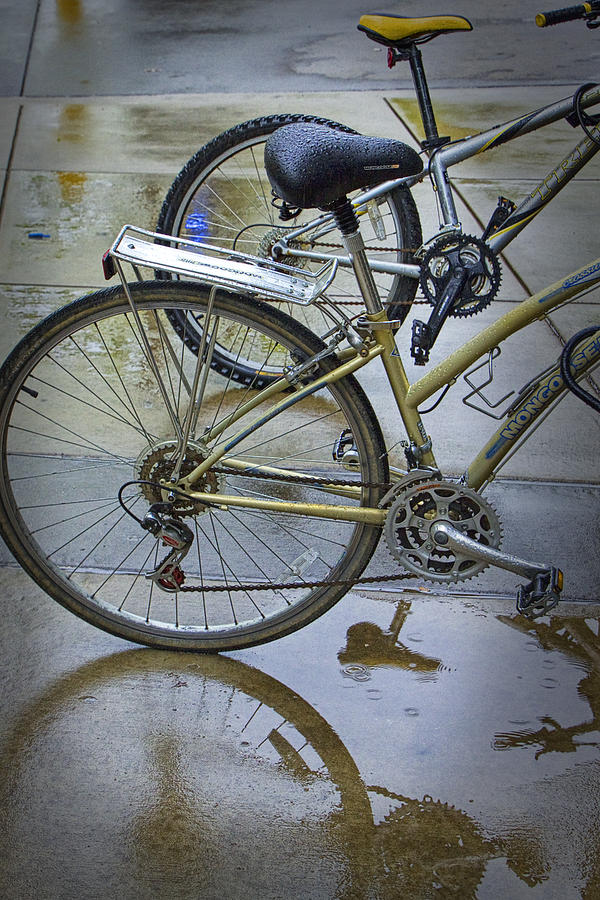 Two Bicycles Photograph by Randall Nyhof