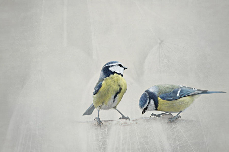 Spring Mixed Media - Two Birds by Heike Hultsch