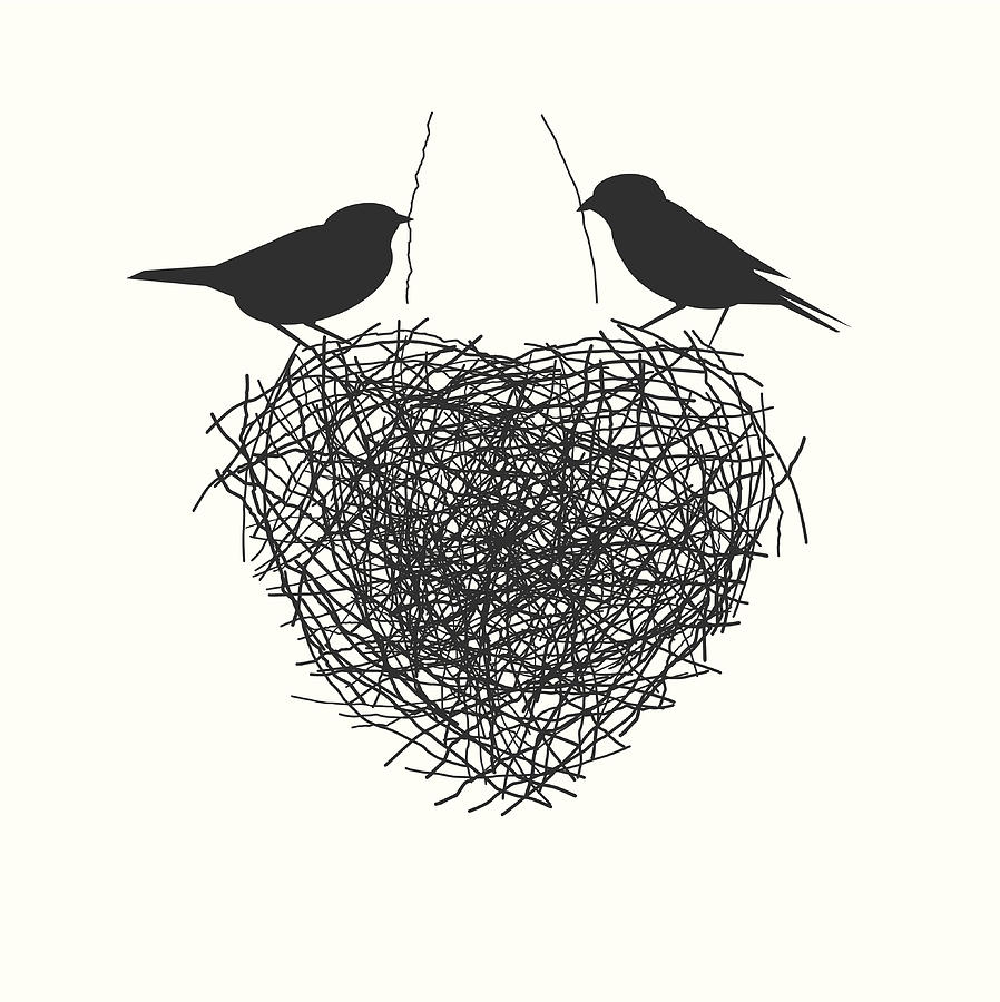 Two Birds Making Heir Nest Drawing by Mysondanube