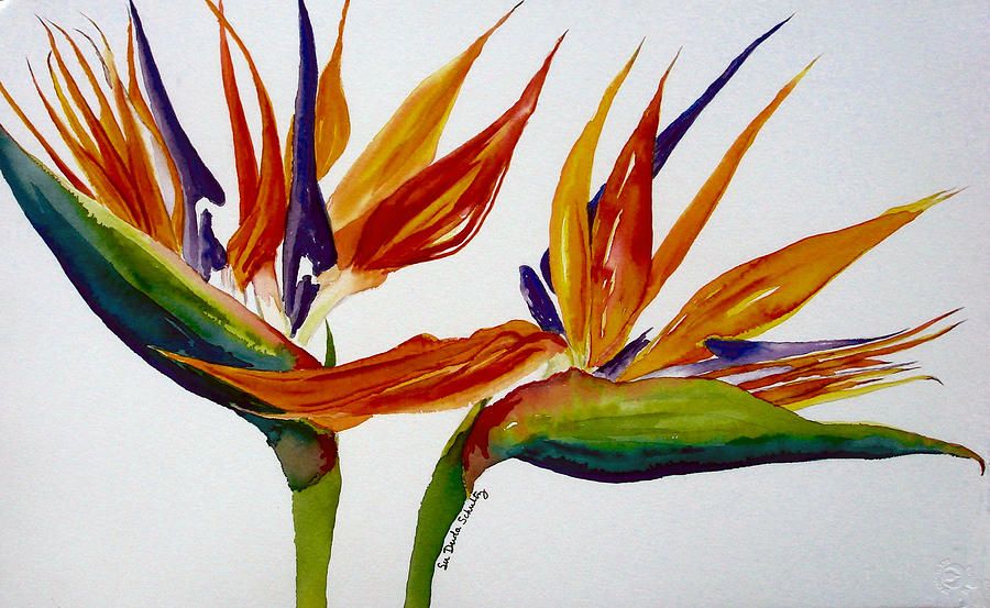 Two Birds Of Paradise Painting by Susan Duda
