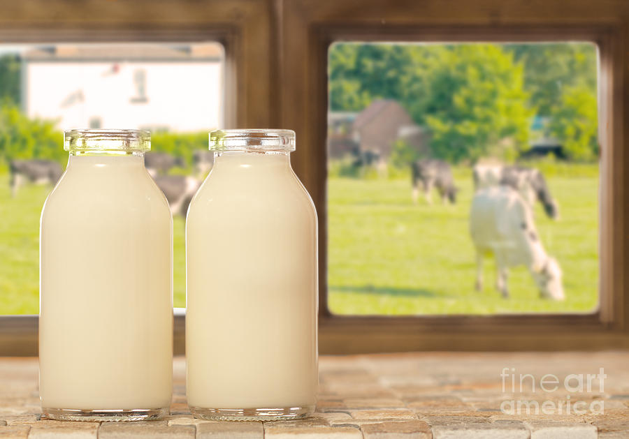 Bottle Photograph - Two Bottles of Milk by Amanda Elwell