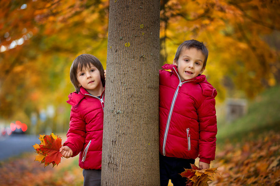 Two boys, brothers, walking in autumn alley in the park, gathering leaves, playing happily. Children happiness concept Photograph by Tatyana Tomsickova Photography