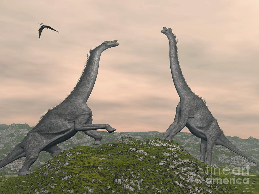 Two Brachiosaurus Dinosaurs Fighting Digital Art By Elena Duvernay Pixels
