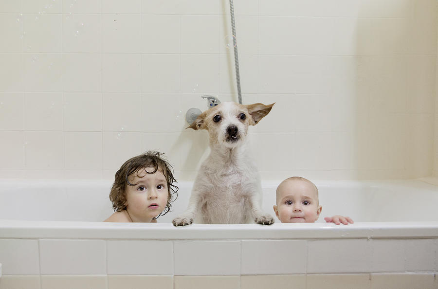 Two brothers take a bath with the dog Photograph by Image taken by Mayte Torres