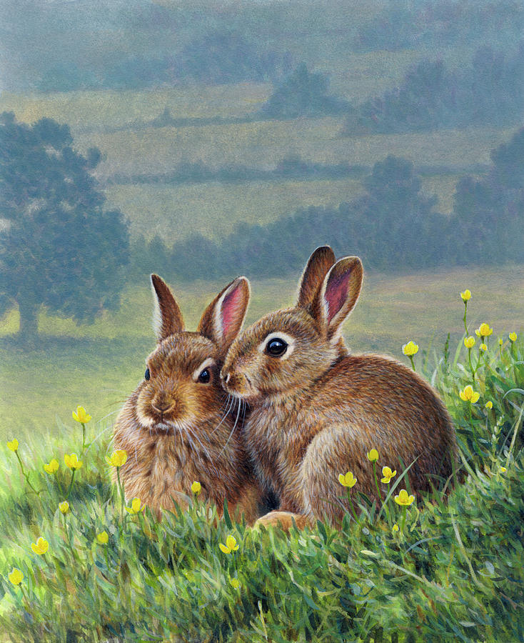 Two Brown Rabbits Huddling Together Photograph by Ikon Ikon Images