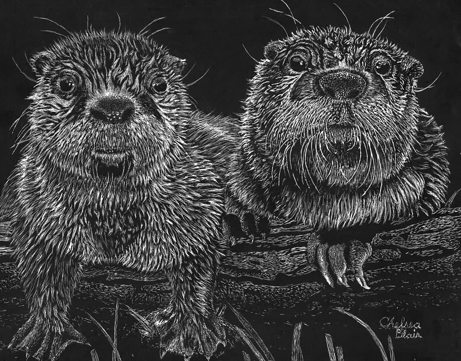 Otter Drawing - Two Bumps on a Log by Chelsea Blair