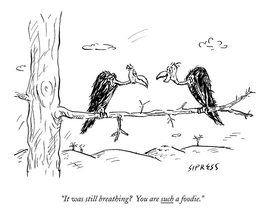 Two Buzzards Sit And Talk On A Branch Drawing by David Sipress