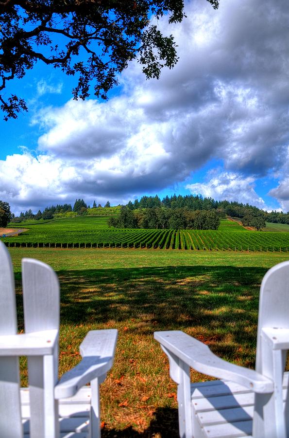 Two Chairs In The Vineyard 19085 Photograph by Jerry Sodorff