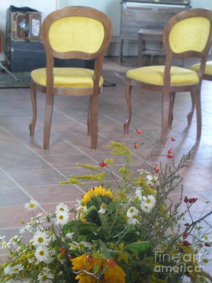 Two Chairs with Flowers Photograph by Eva-Maria Di Bella