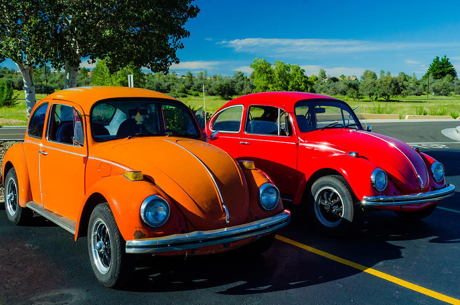 Two Classic Beetles Photograph by Alan Marlowe