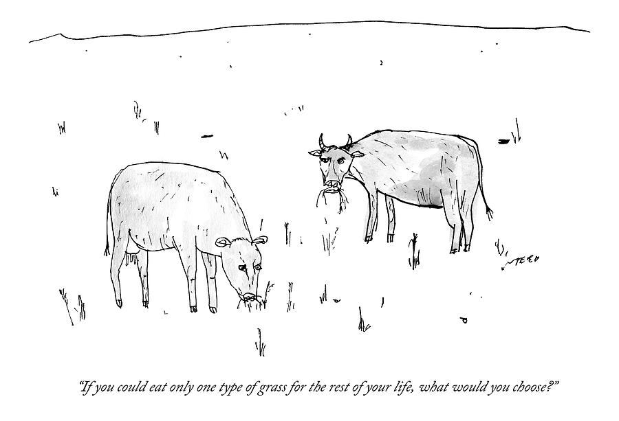 Two Cows Converse In A Field Drawing by Edward Steed