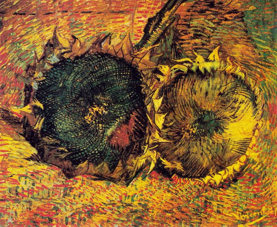 Flower Digital Art - Two Cut Sunflowers by Vicent Van Gogh