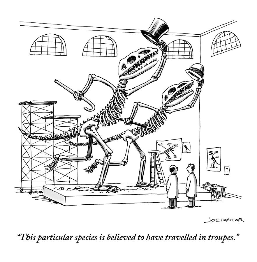 Vaudeville Drawing - Two Dinosaur Skeletons At A Museum by Joe Dator