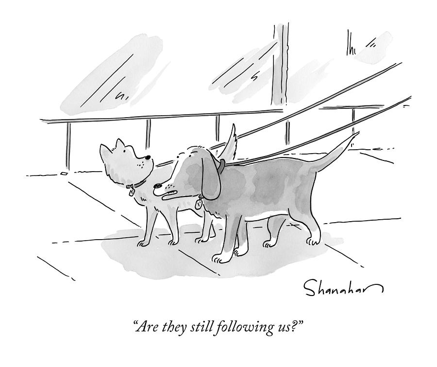 Two Dogs On Leashes Drawing by Danny Shanahan Two Dogs On Leashes Drawing by Danny Shanahan