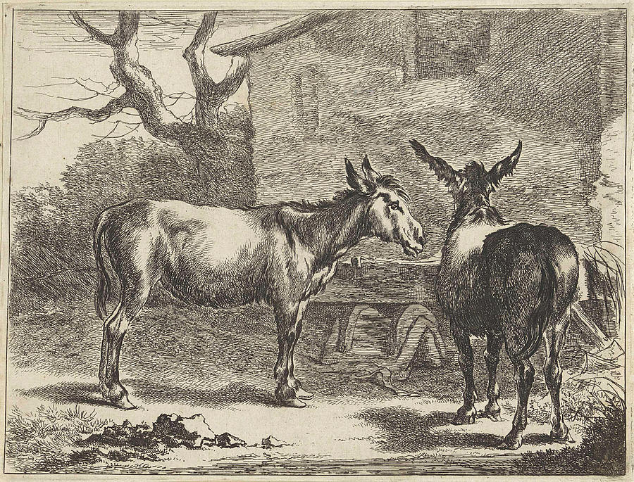 Donkey Drawing - Two Donkeys In A Manger, Jan De Visscher by Jan De Visscher And Nicolaes Pietersz. Berchem