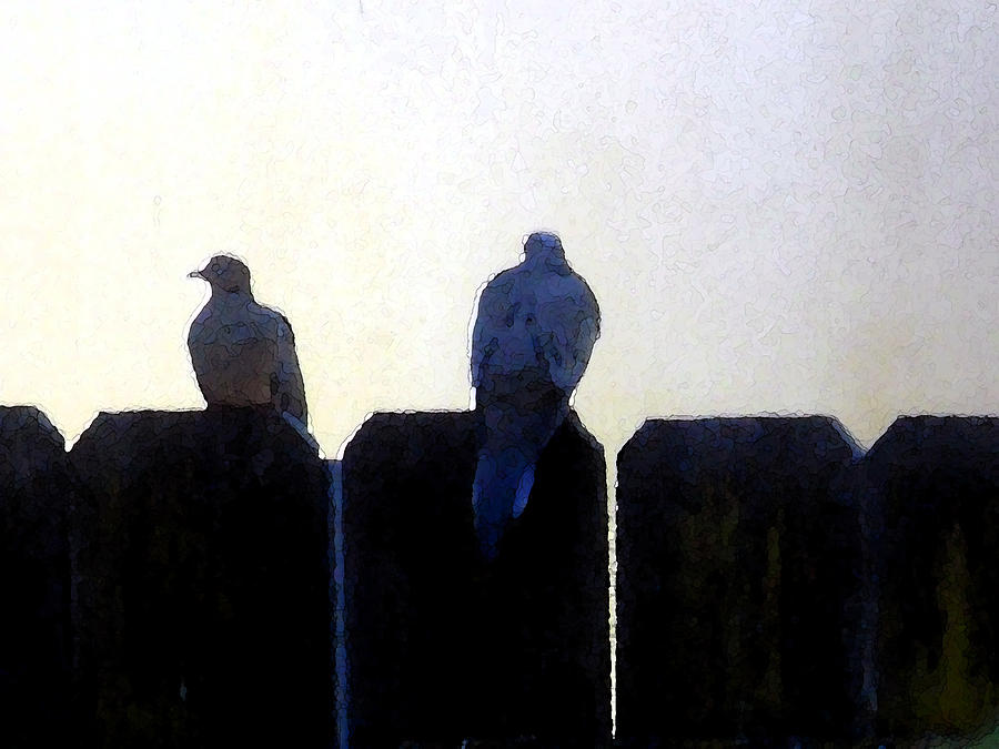 Two Doves On A Fence Digital Art by Eric Forster