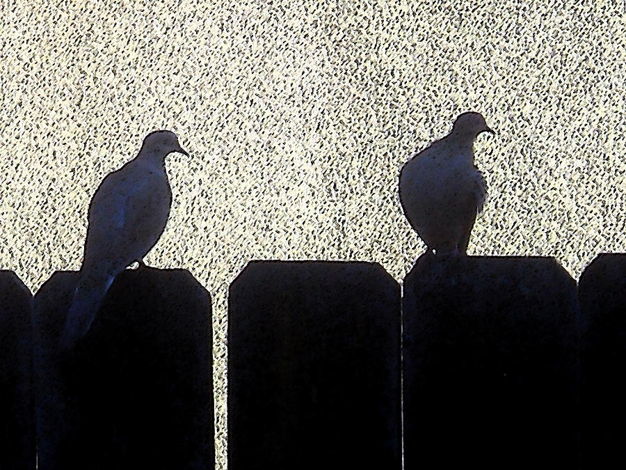 Two Doves Return Digital Art by Eric Forster