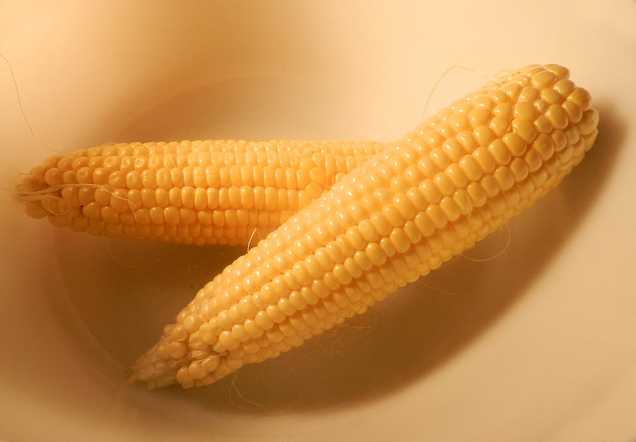 Two Ears Of Corn Photograph