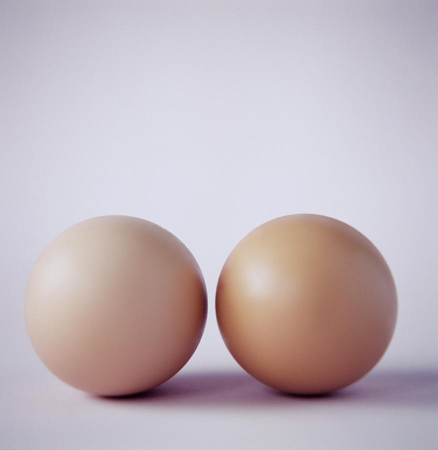 Two Eggs Photograph by Cristina Pedrazzini/science Photo Library