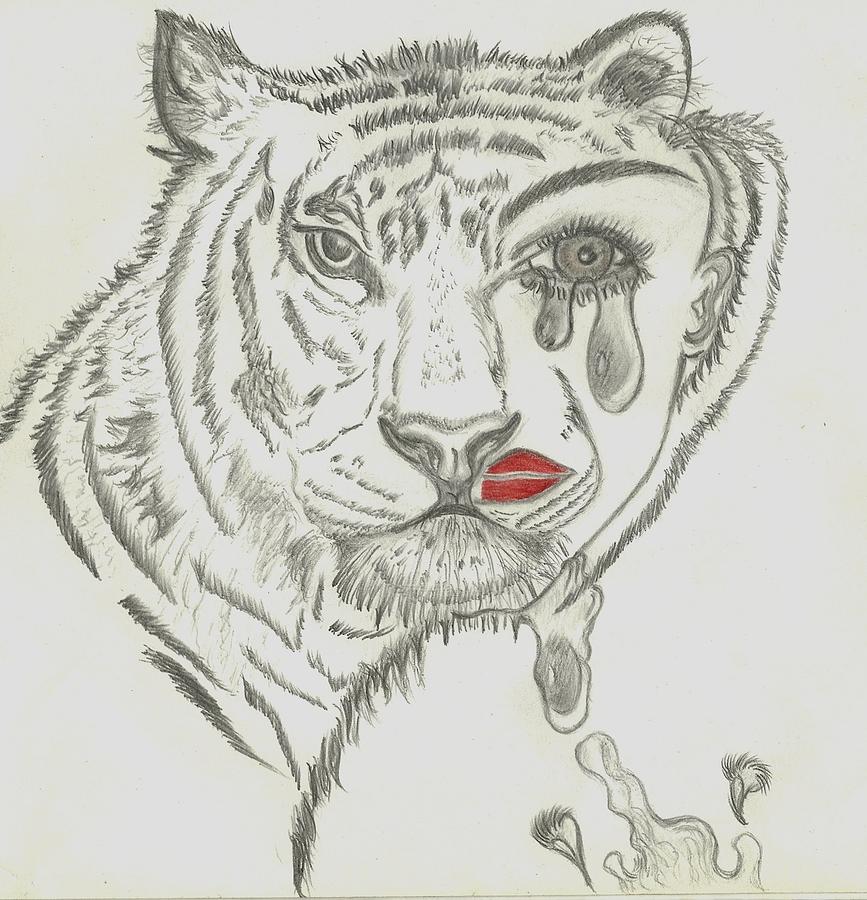 Wildlife Drawing - Two Faced Tiger by Nicole Burrell