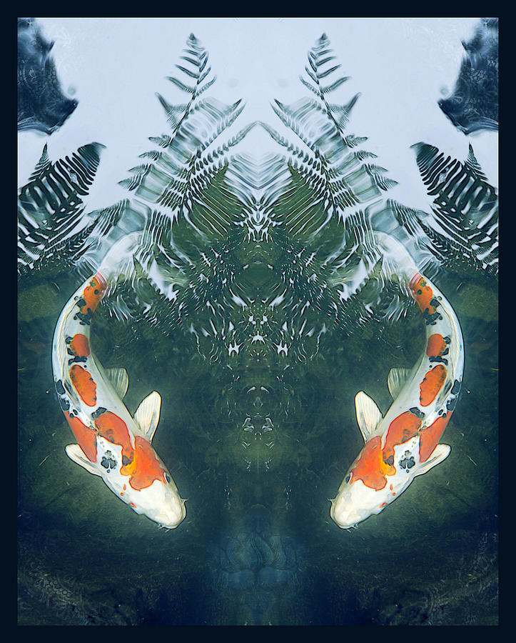 Two Fish Digital Art by Kristine Anderson