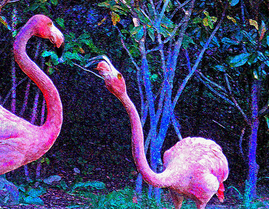 Two Flamingos Digital Art by Jane Schnetlage